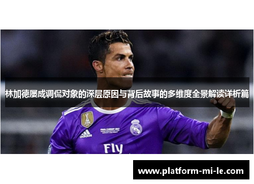 林加德屡成调侃对象的深层原因与背后故事的多维度全景解读详析篇