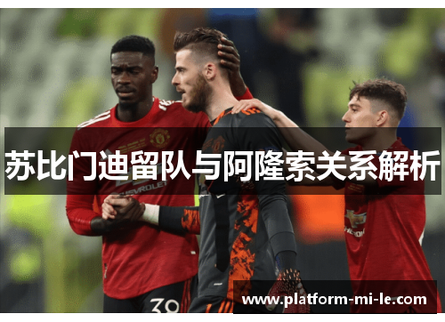 苏比门迪留队与阿隆索关系解析